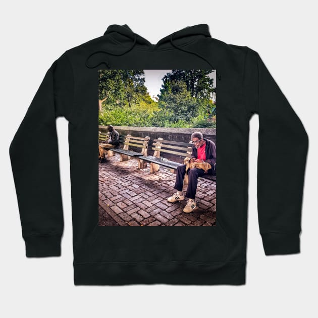 Central Park, Manhattan, New York City Hoodie by eleonoraingrid